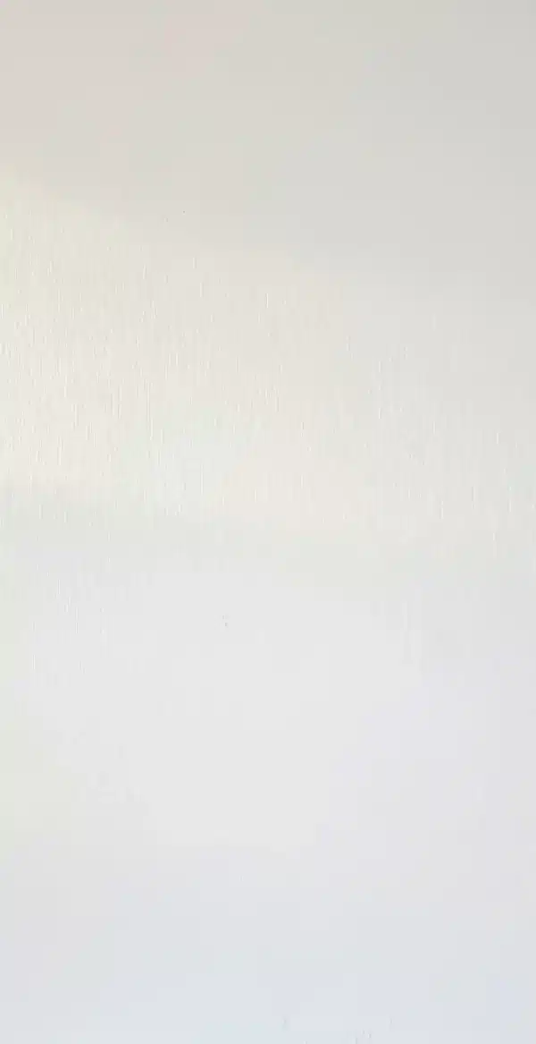 9997 TN BLANCO BRUSH