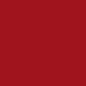 1245 DM ROJO ARQUI DRY MATT