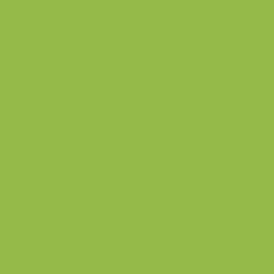 1507 DM VERDE ARQUI DRY MATT