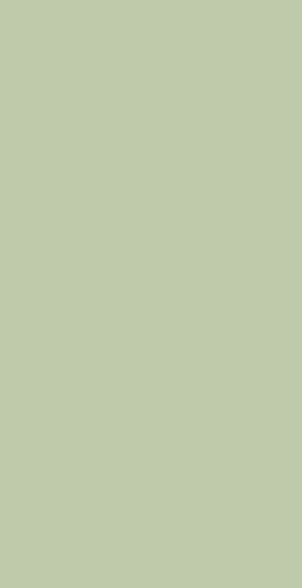 4071 DM VERDE LAVADO DRY MATT