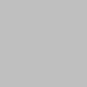 226 LU GRIS HUMO ALTO BRILLO