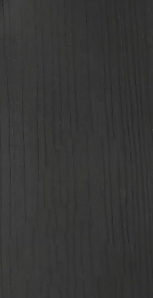 293 LS NEGRO LS