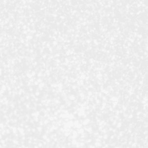WHITE METALLIC | SUPER MATT